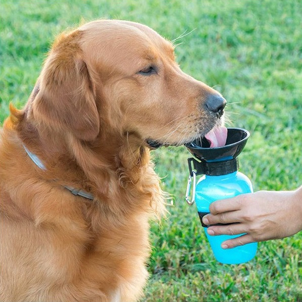 2 x Cestovní lahev na vodu pro psy Innovagoods (V0100830)