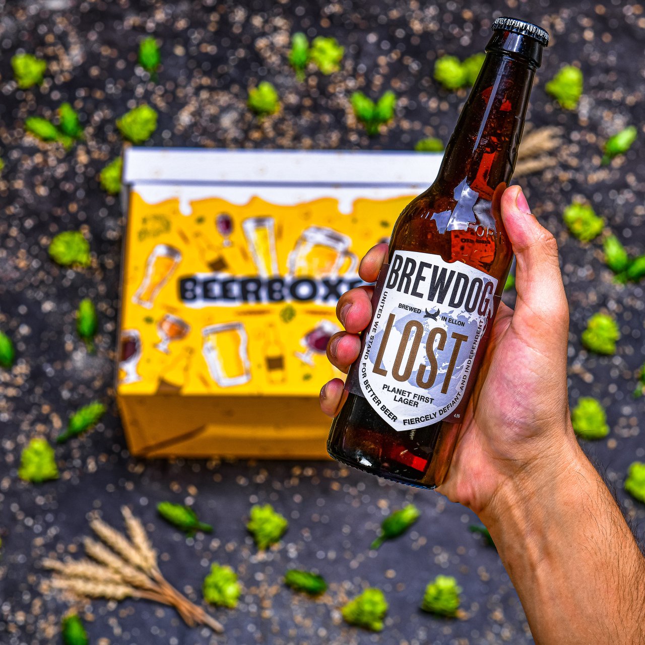 BeerBOXEO plné prémiových ležáků vol.2