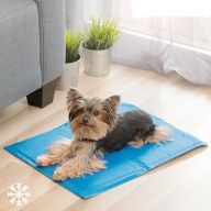 Chladivý kobereček pro domácí zvířata innovagoods (40x50cm) (V0100922)