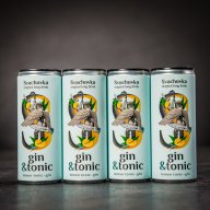 Svachovka Gin&Tonic Lemon
