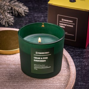 Exklusive Duftkerze mit Premium-Duft – Cedar & Pine 200 g