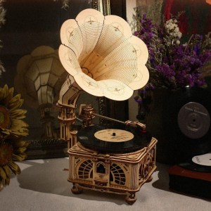 3D-Holzbausatz - Funktionelles Grammophon